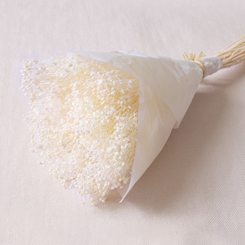 Broom Blanc