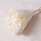 Broom Blanc