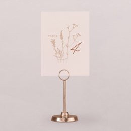 August