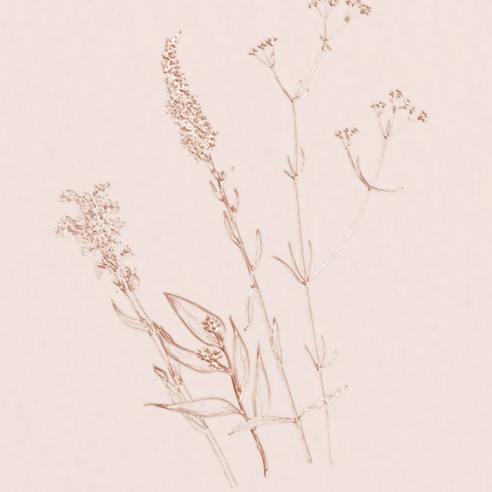 August